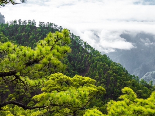 Caldera de Taburiente