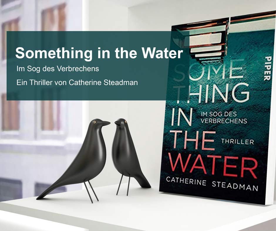 something in the water buchcover